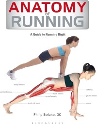 Anatomy of Running : A Guide to Running Right